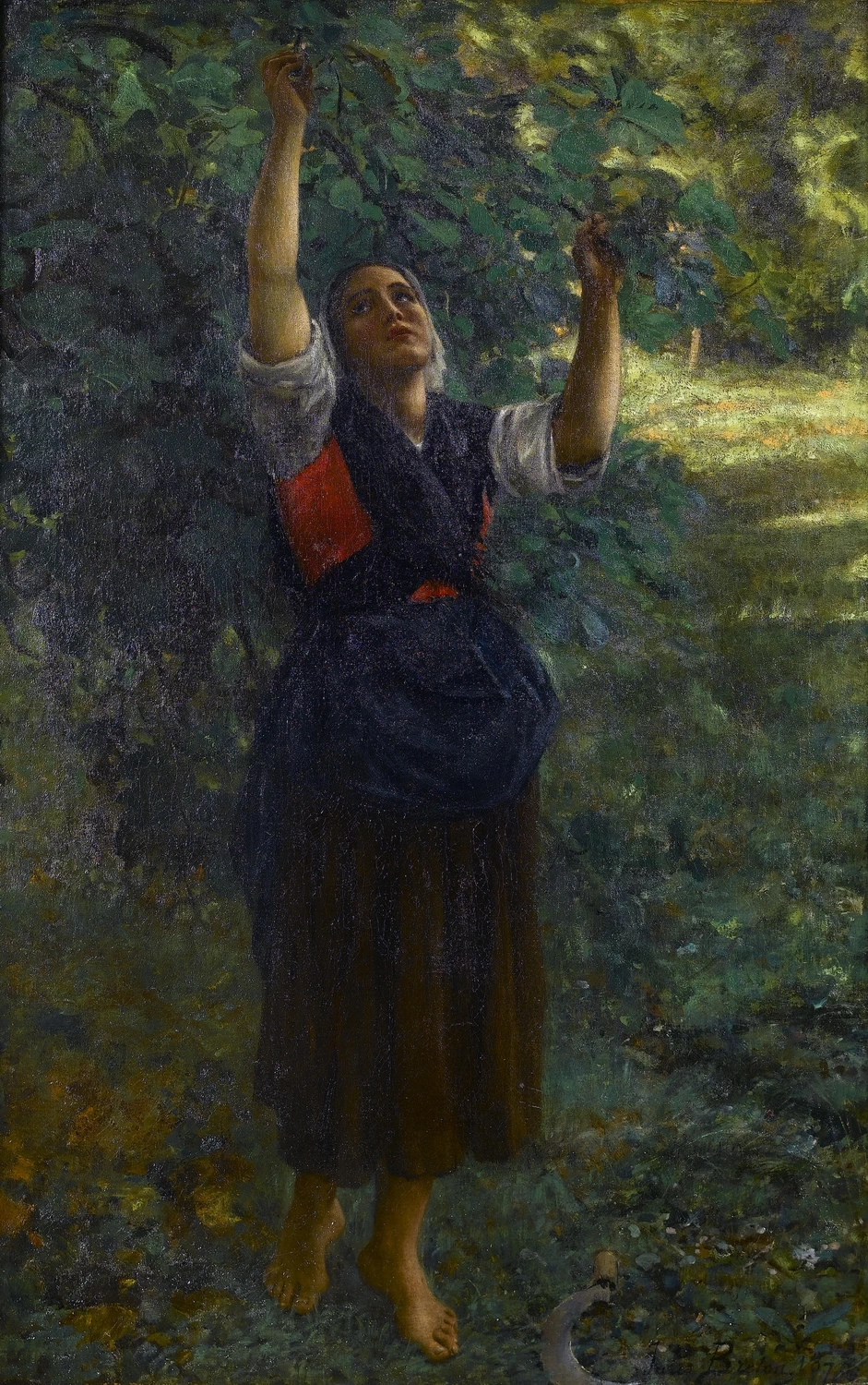 Raccoglitore di fichi, 1873